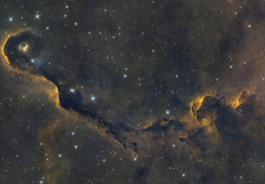 IC396 - Elephant Trunk