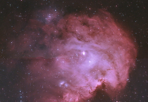 IC2159 - Monkey Head