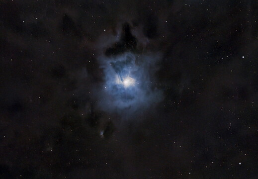 NGC7023 - Iris Nebula