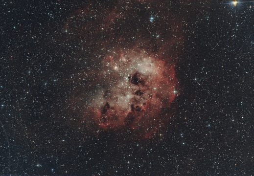 IC410 - The Tadpoles Nebula