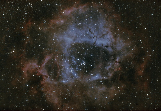 NGC2237 - Rosette Nebula