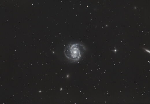 M100 Spiral Galaxy